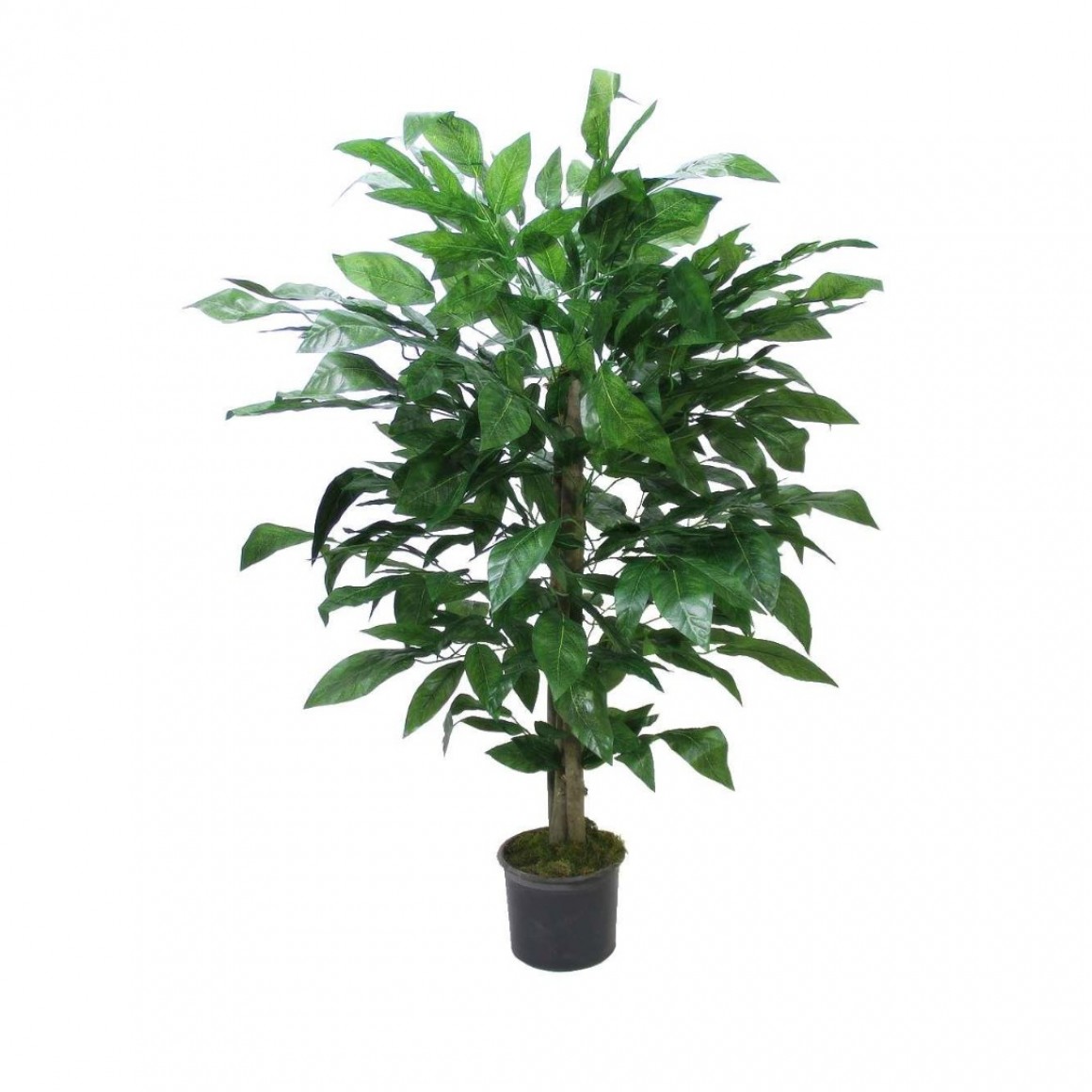 LEOSHI Künstliche Pflanzen Für Den Außenbereich, Hoch, Künstlicher Magnolienbaum, Innendekorationsbaum, Künstliche Pflanze, Fenster, Hochzeitsdekoration, Drinnen Und Draußen, Zuhause, Büro, Party