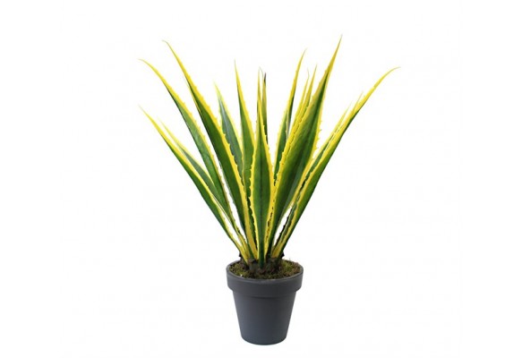 Çöl Esintisi Yapay Dekor Bitkisi