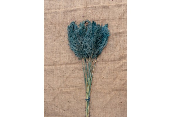 15 ADET PAMPAS TURKUAZ