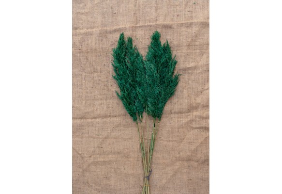 15 ADET PAMPAS YEŞİL